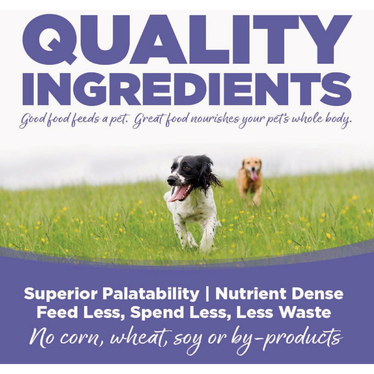 NutriSource 12.3 Oz. Small & Medium Breed Wet Puppy Food Image 4
