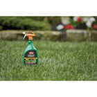 Ortho WeedClear 24 Oz. Ready-To-Use Trigger Spray Lawn Weed Killer Image 2