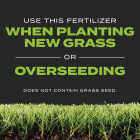 Scotts Turf Builder 17.2 Lb. 4000 Sq. Ft. Triple Action Built For Seeding Image 7