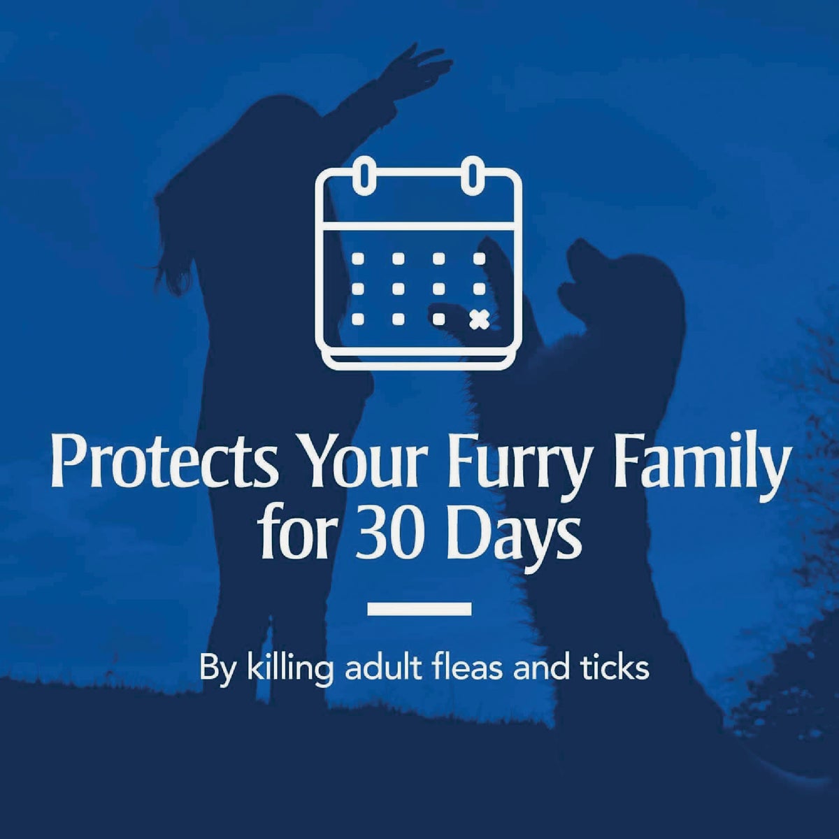 PetArmor Fast Act Plus 16 Oz. Trigger Spray Flea & Tick Treatment for Dogs & Cats Image 4