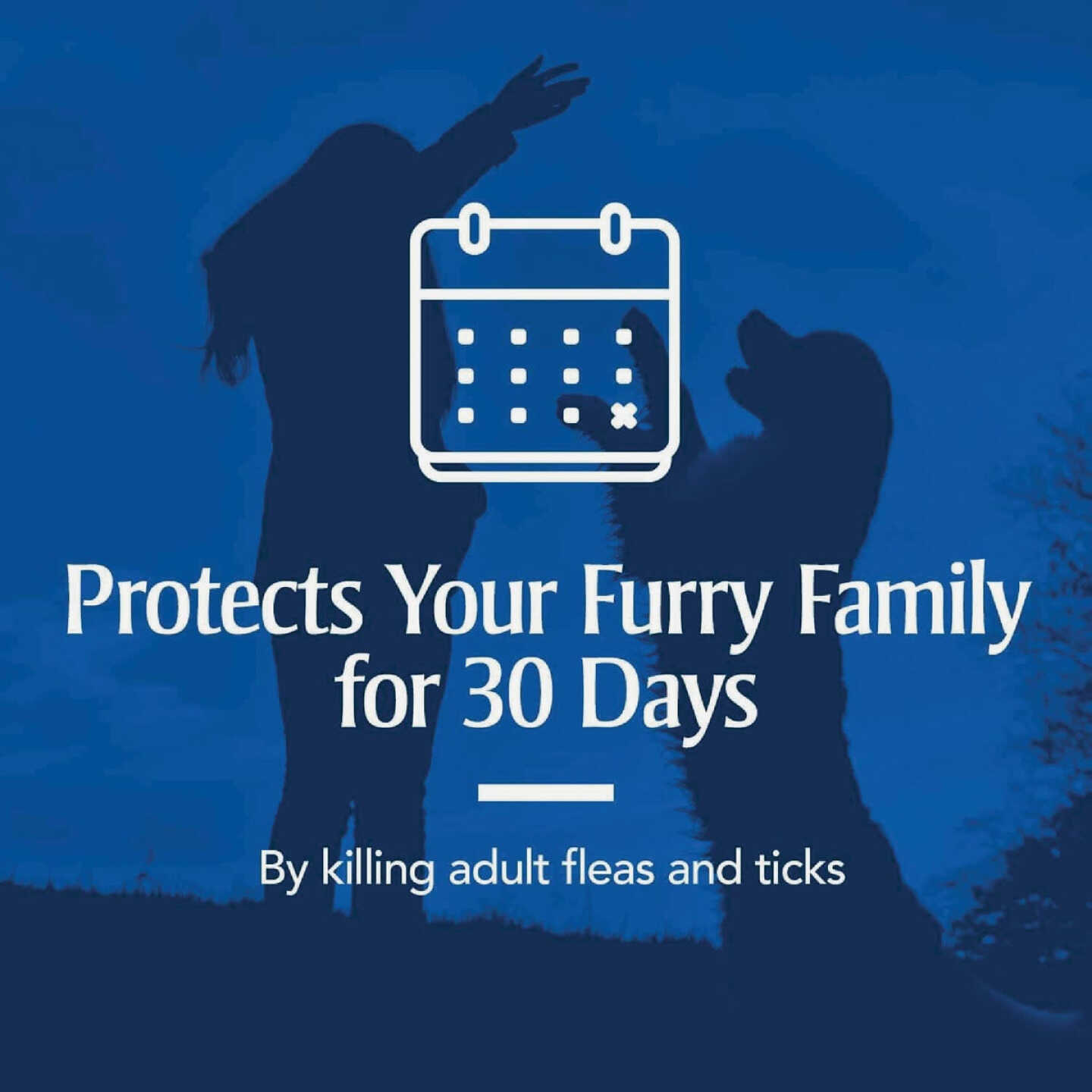 PetArmor Fast Act Plus 16 Oz. Trigger Spray Flea & Tick Treatment for Dogs & Cats Image 4