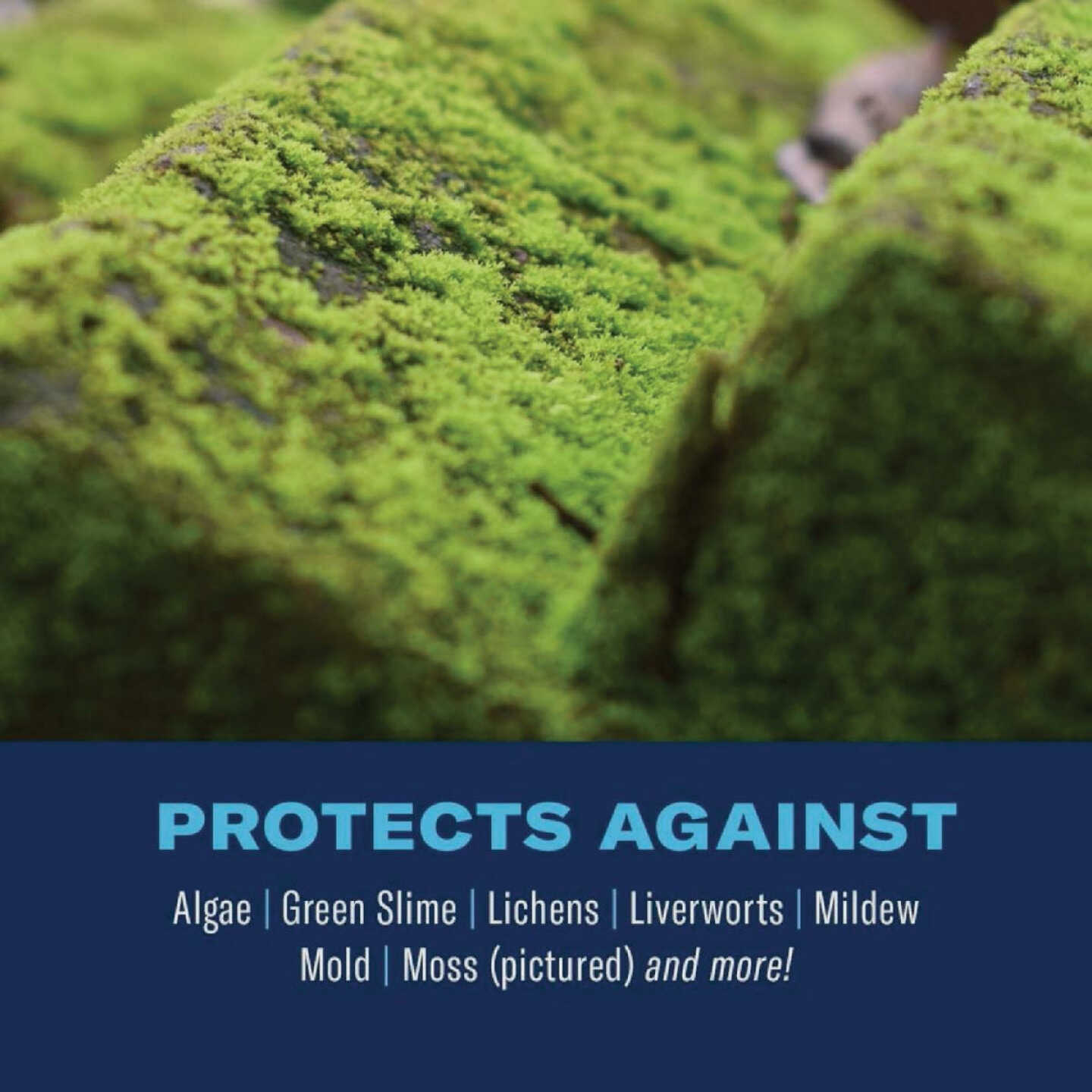 BioAdvanced 2-In-1 32 Oz. Ready To Spray Moss & Algae Killer with HPX Sprayer Image 2