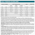 NutriSource 4 Lb. Chicken & Rice Recipe Dog Food Image 5