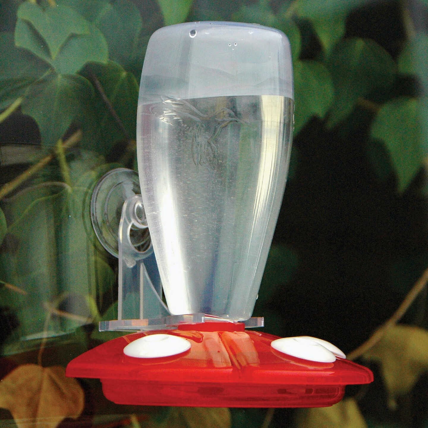 Audubon 12 Oz Plastic Window Mount Hummingbird Feeder Image 2
