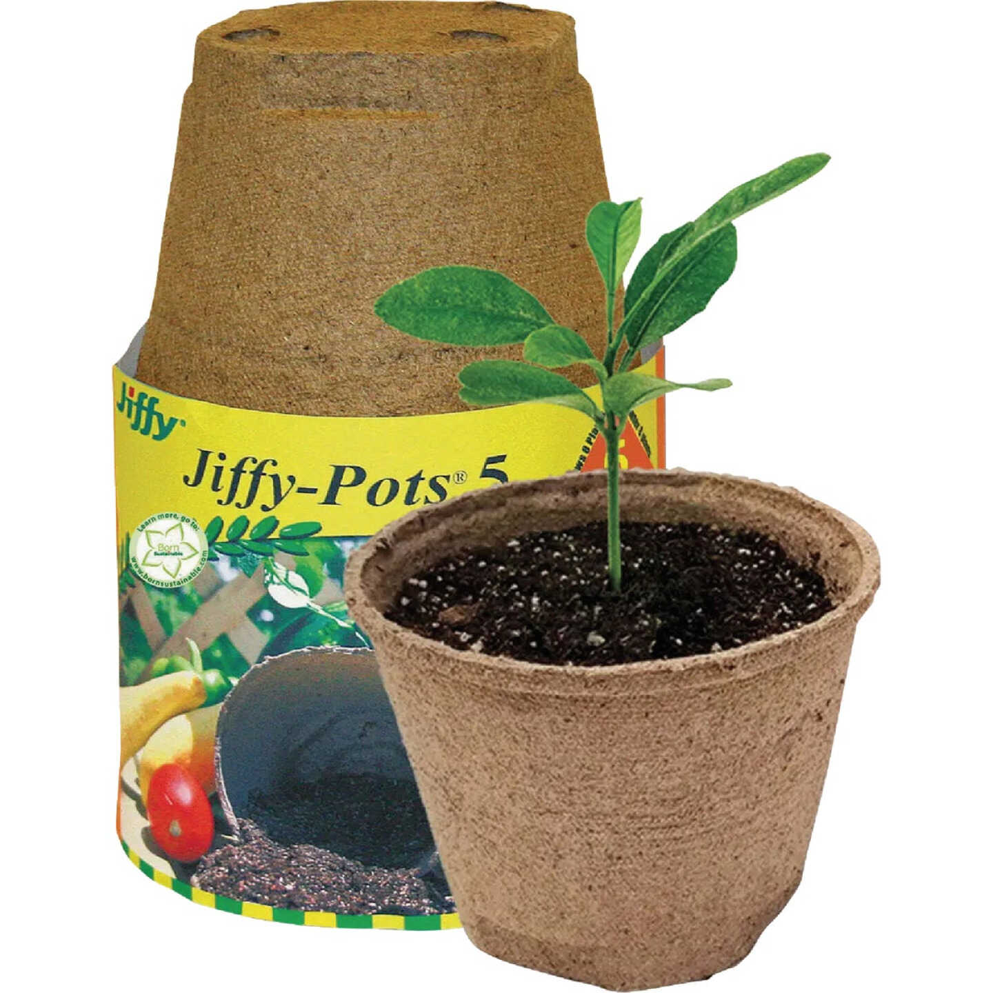 Jiffy 5 In. W. Round Peat Pot (6-Pack) Image 1