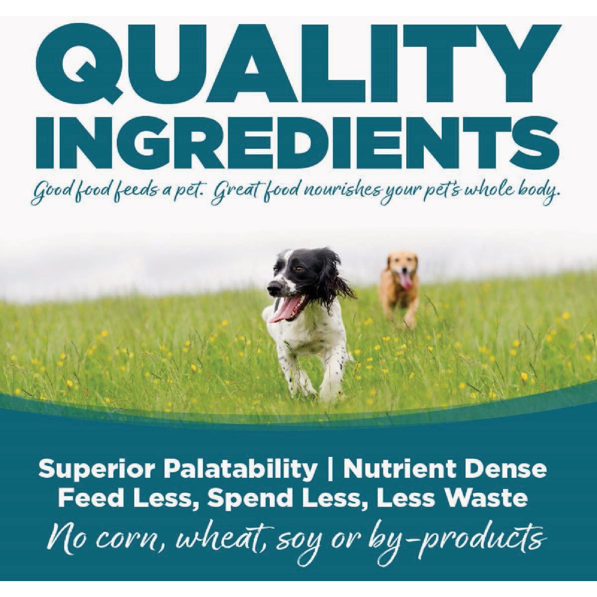 NutriSource Small & Medium Breed 26 Lb. Puppy Food Image 3