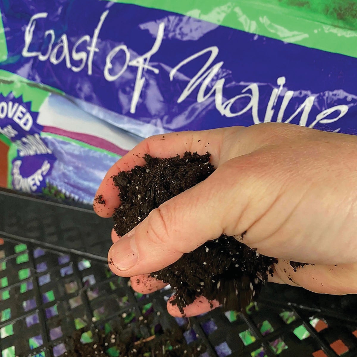 Coast of Maine Sprout Island Blend 16 Qt. 14 Lb. Organic Seed Starter Image 3