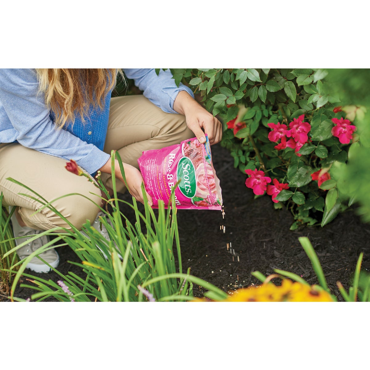 Scotts 3 Lb. Rose & Bloom Continuous Release Plant Food Image 3
