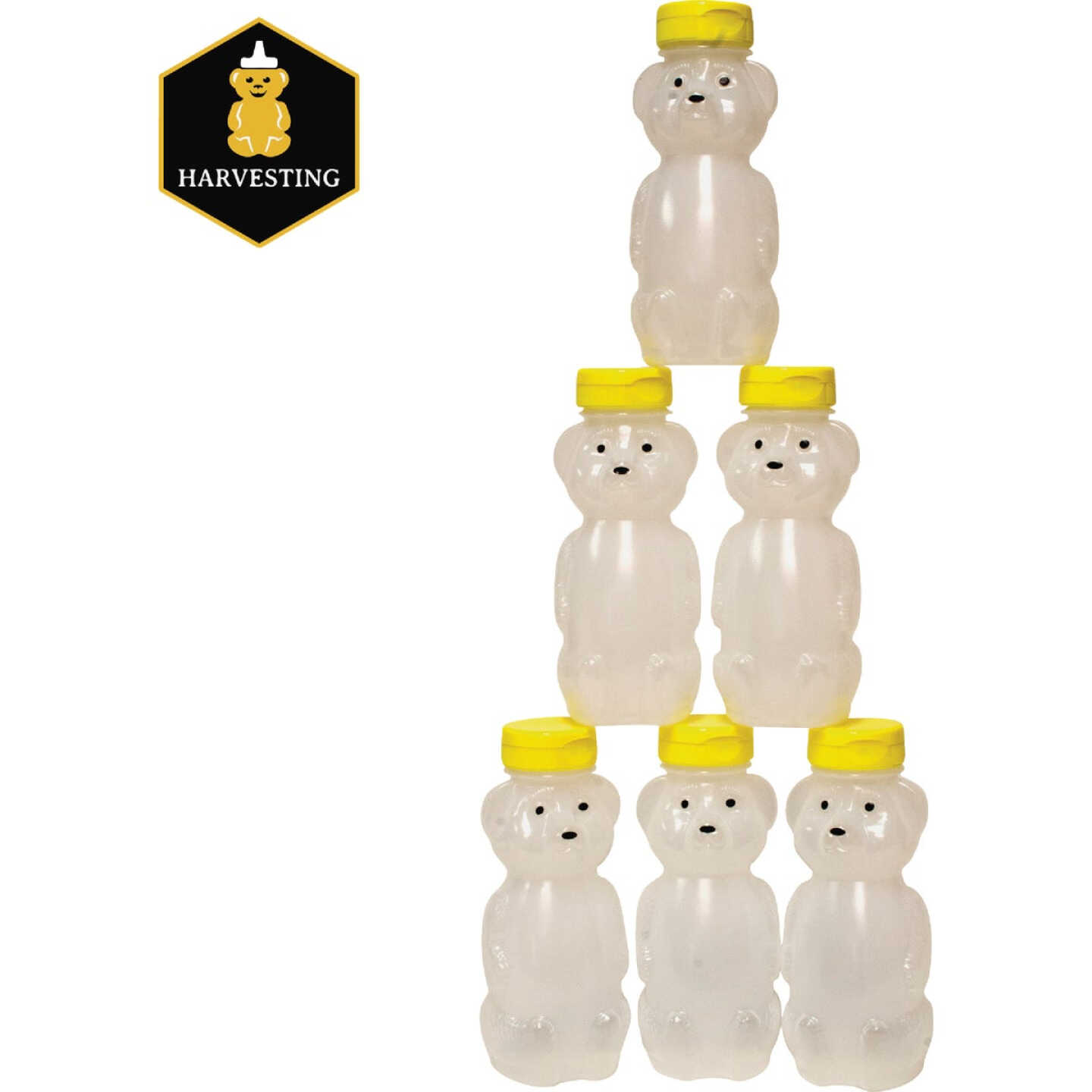Harvest Lane Honey 8 Oz Plastic Honeybear Bottles (6-Pack) Image 1