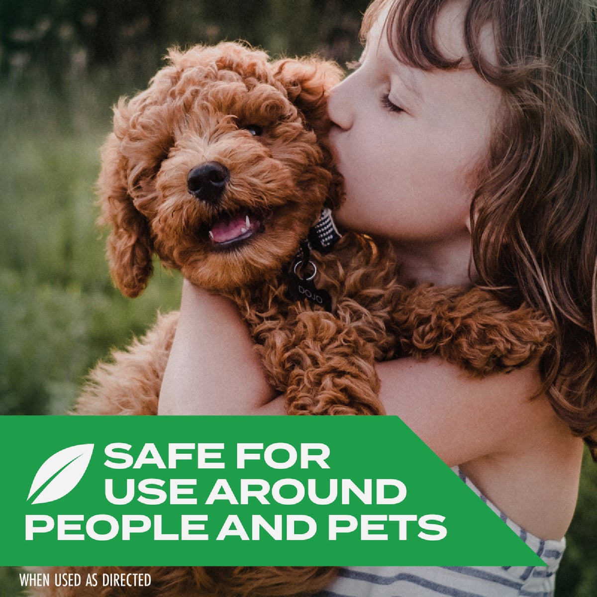 Stem 10 Oz. Aerosol Spray Wasp & Hornet Killer Image 5