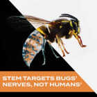 Stem 10 Oz. Aerosol Spray Wasp & Hornet Killer Image 4