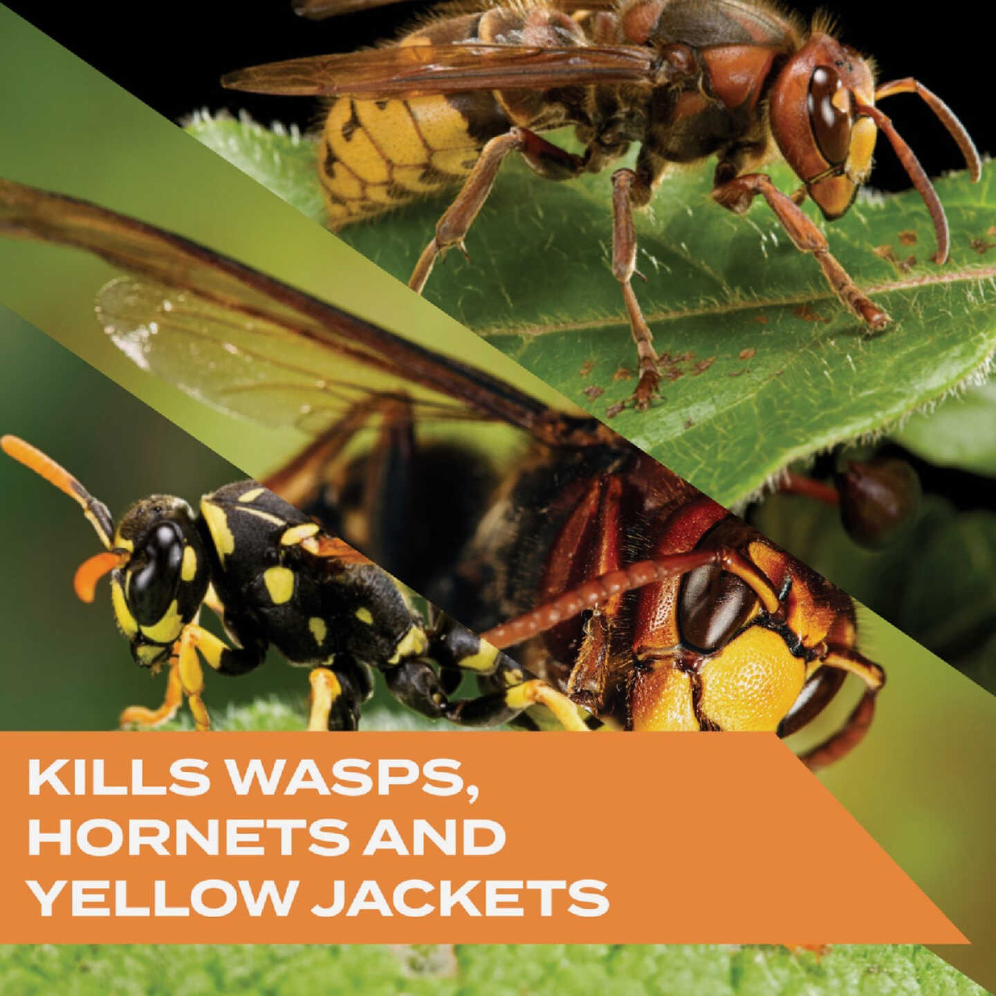 Stem 10 Oz. Aerosol Spray Wasp & Hornet Killer Image 3