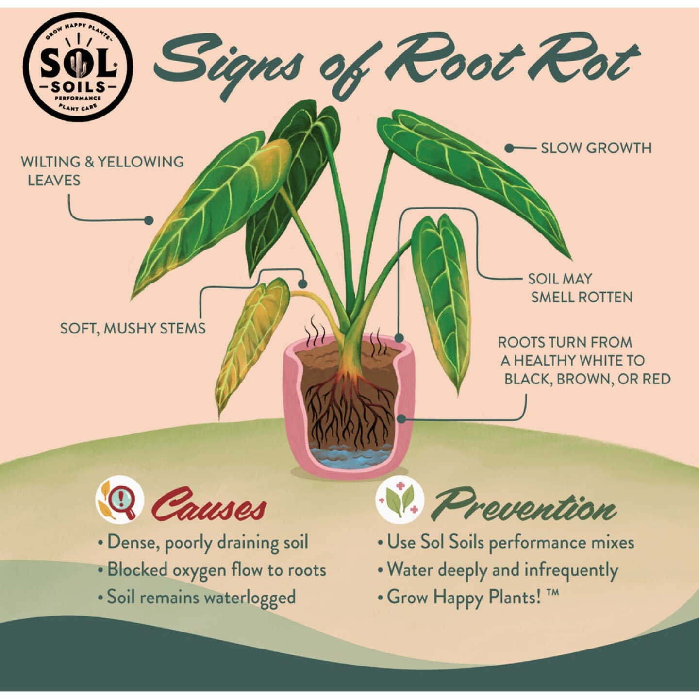Sol Soils 1 Qt. Orchid Chunky Mix Image 4