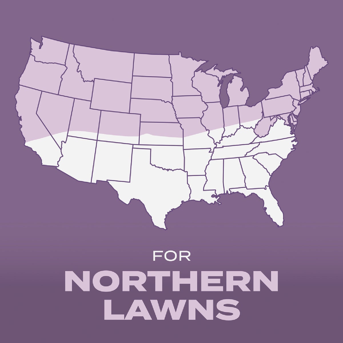 Scotts Turf Builder 2.4 Lb. 200 Sq. Ft. Perennial Ryegrass Mix Grass Seed, Fertilizer, and Soil Improver Combination Image 6