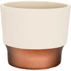 HC Companies Sprite 3 In. x 3 In. x 2.5 In. Resin Vanilla Bisque Succulent Pot Image 1