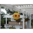 Bird-B-Gone Bird Repelling Balloon Image 3