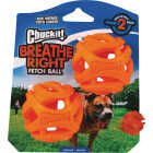 Chuckit Breathe Right Medium Ball (2-Pack) Image 1