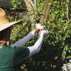 Farmers Defense Cream Protection Sleeves, Large/XL Image 3