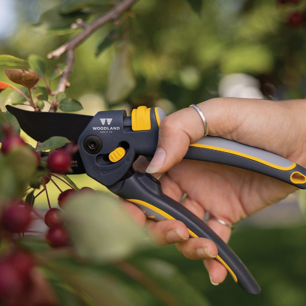 Woodland 8.75 In. MaxForce Gear'd Bypass Pruner Image 4