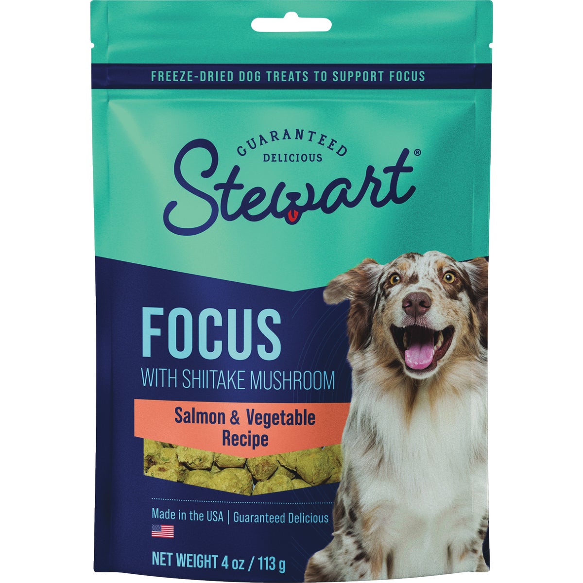 Stewart Focus 4 Oz. Freeze-Fried Salmon Dog Treat