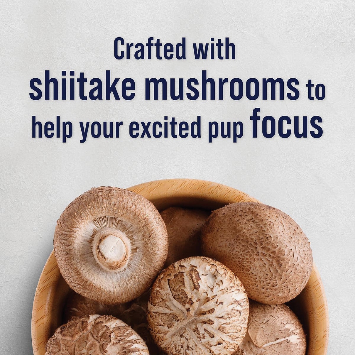 Stewart Focus 4 Oz. Freeze-Fried Salmon Dog Treat Image 2