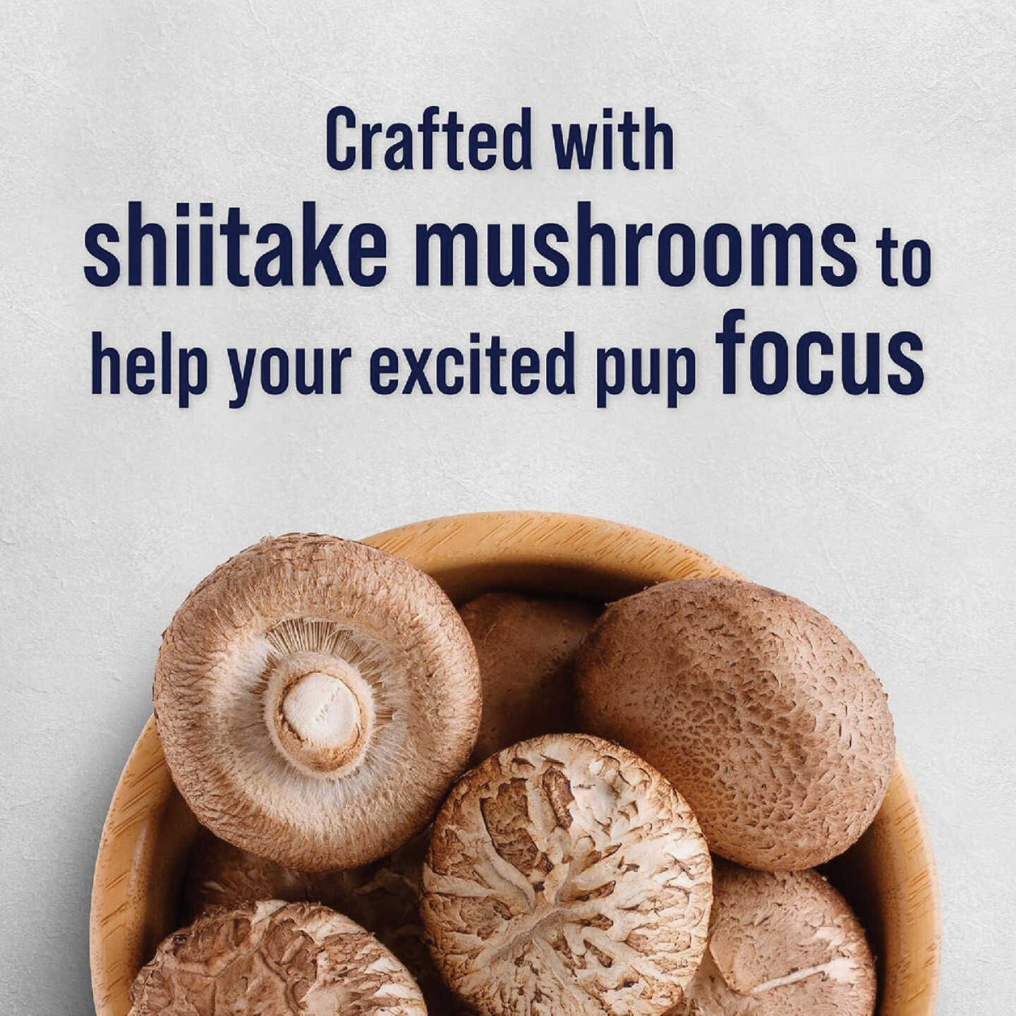 Stewart Focus 4 Oz. Freeze-Fried Salmon Dog Treat Image 2