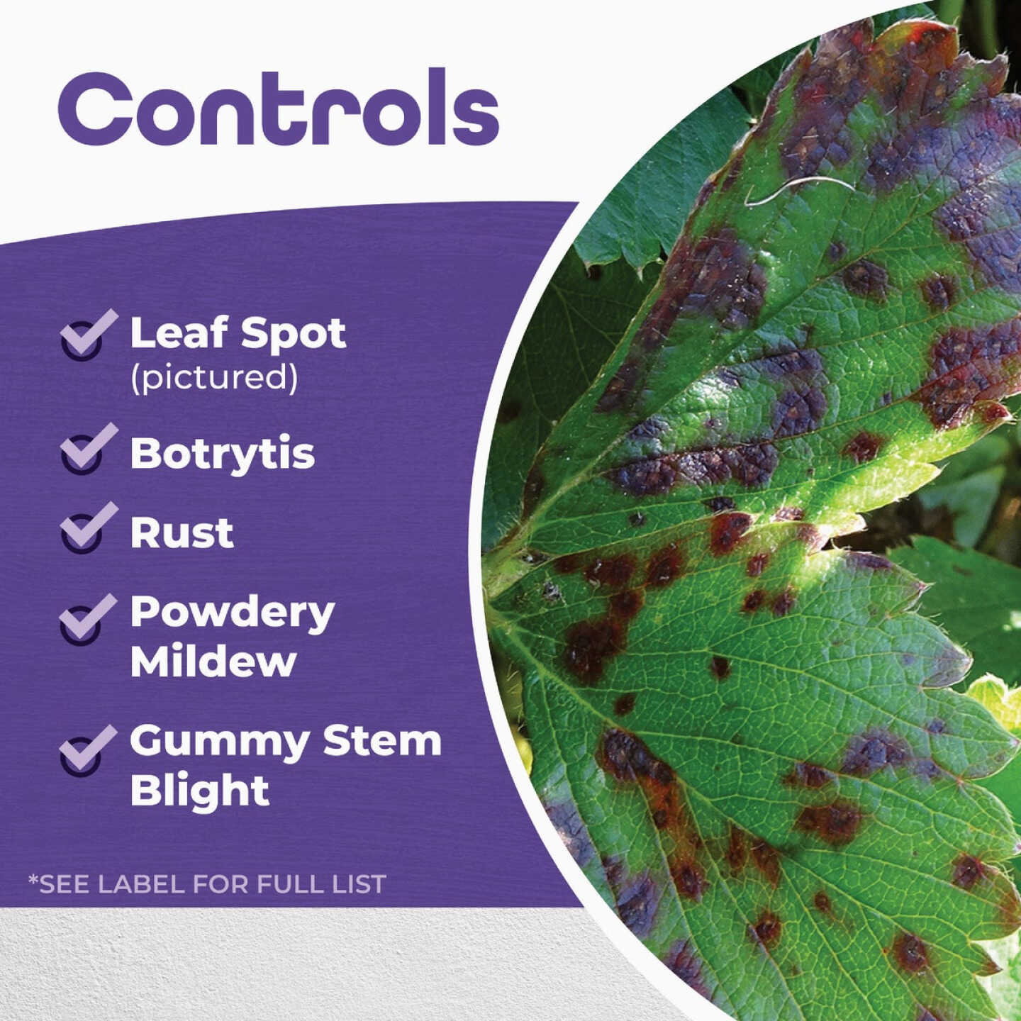 Bonide 32 Oz. Ready To Use Trigger Spray All Season Horticultural & Dormant Spray Oil Image 5