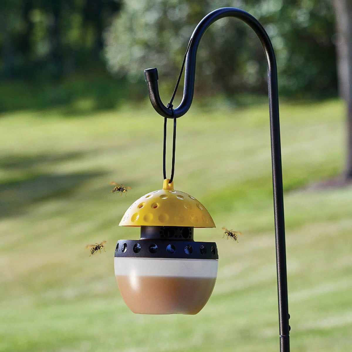 Spectracide Wasp, Hornet, & Yellow Jacket Trap Refill Image 3
