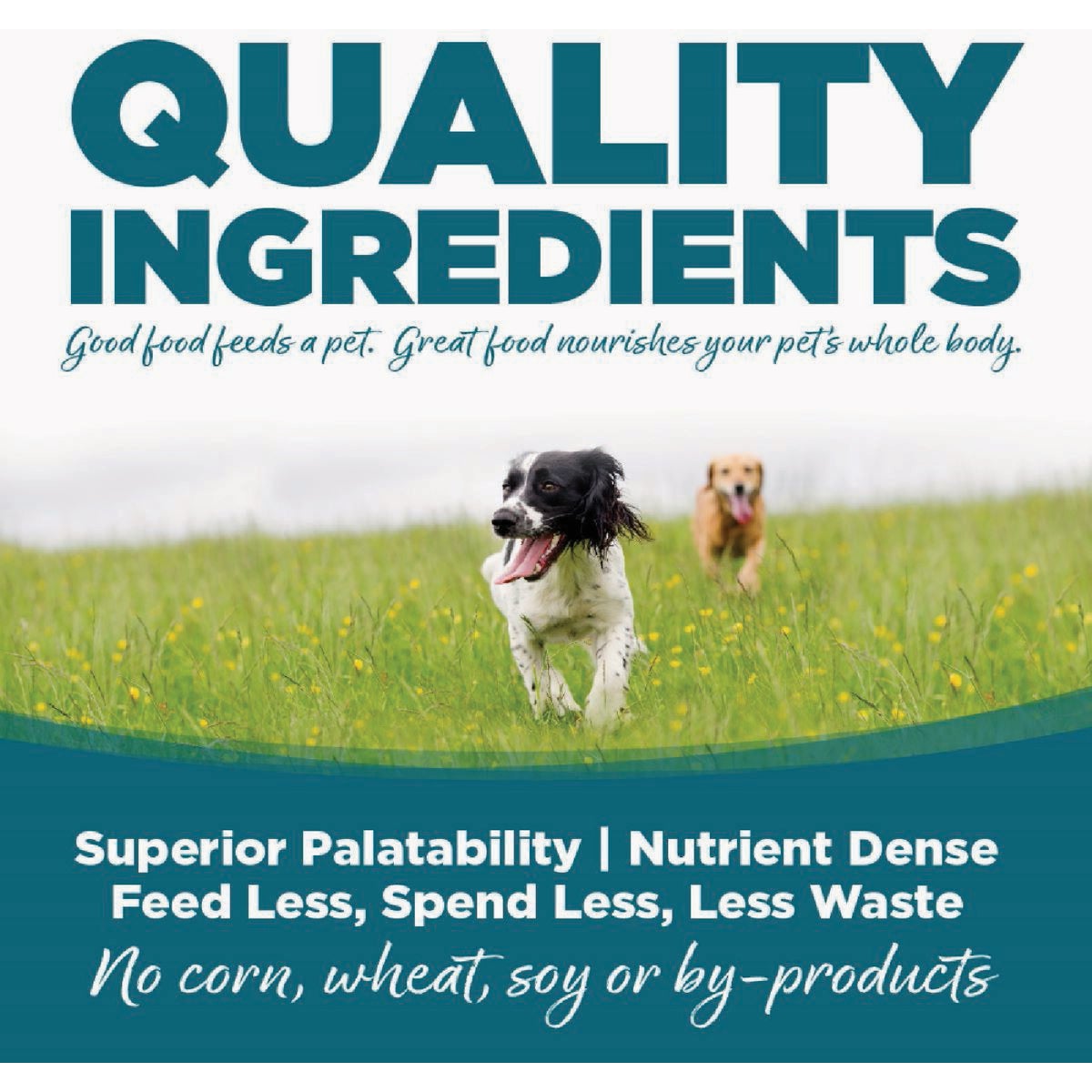 NutriSource 12.3 Oz. Senior Recipe Grain Free Wet Dog Food Image 5