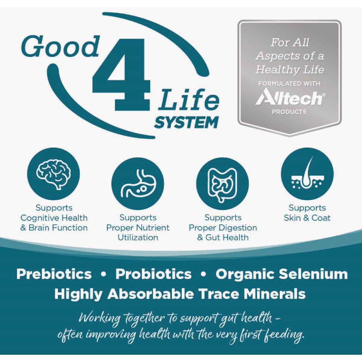 NutriSource 12.3 Oz. Senior Recipe Grain Free Wet Dog Food Image 3