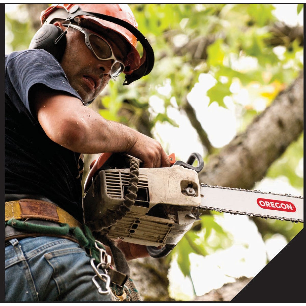Oregon 8 In. 33-Link Pole Saw Chain Image 6