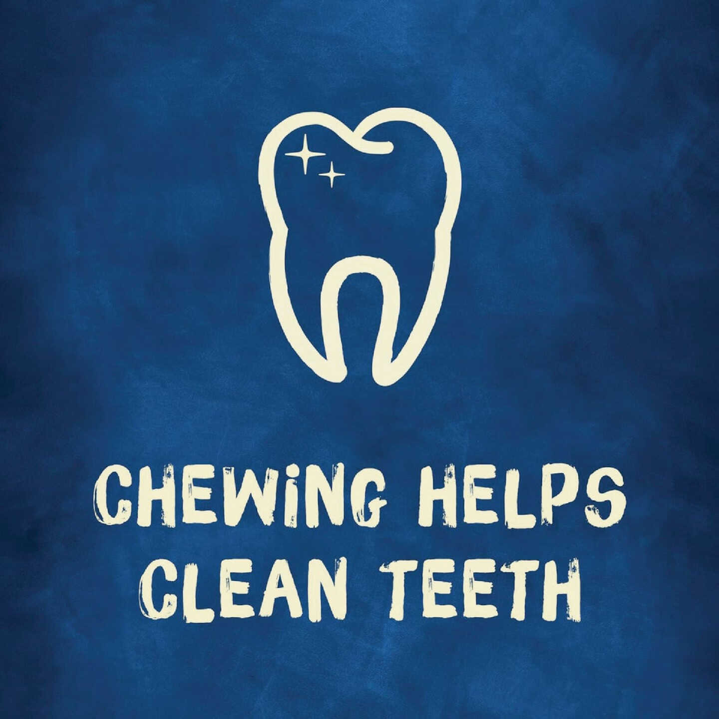 Purina Busy Bone Small & Medium Dog Peanut Butter Flavor Dental Dog Treat (2-Pack) Image 6