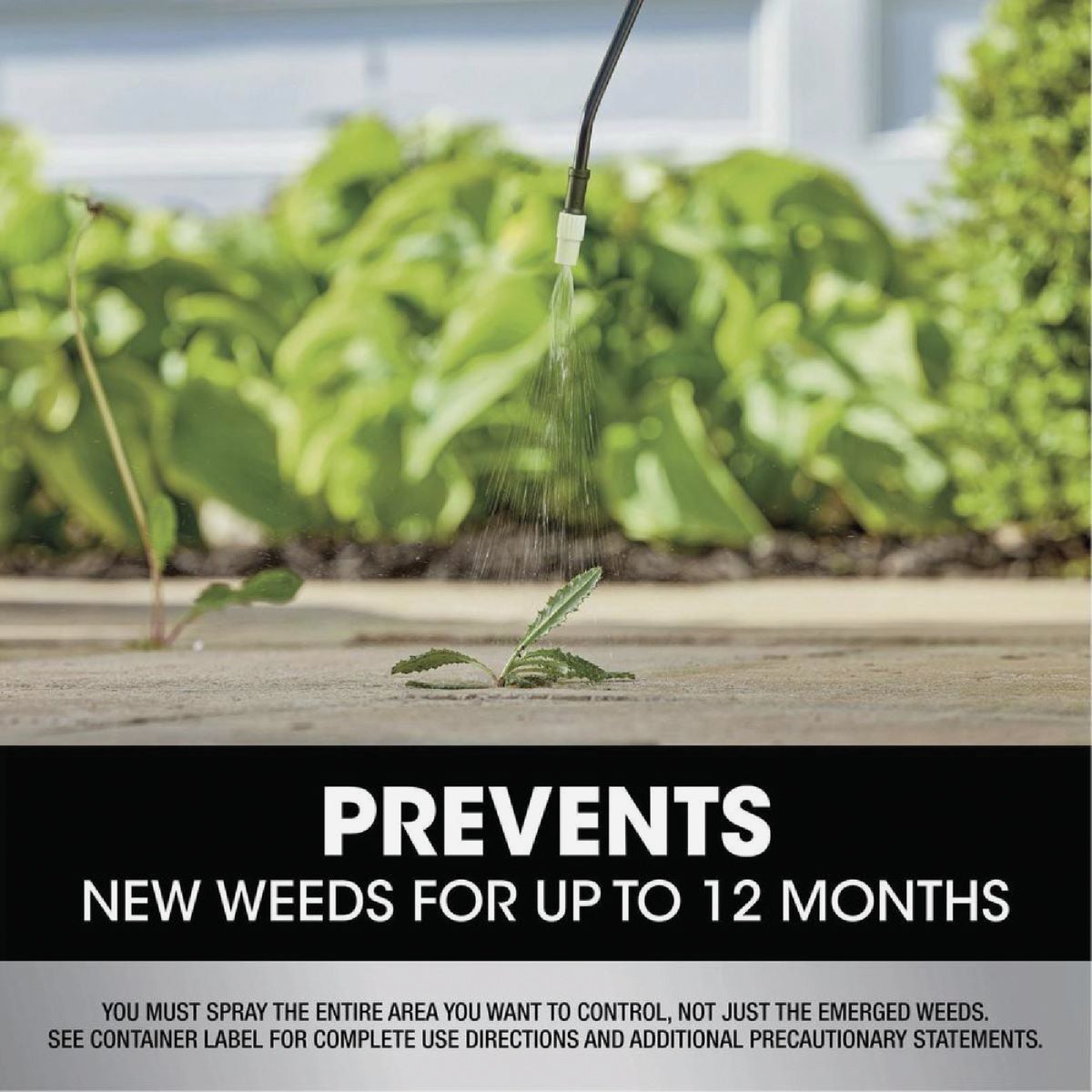 Roundup Dual Action 365 32 Oz. Exclusive Formula Concentrate Weed & Grass Killer Image 3