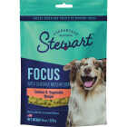 Stewart Focus 8 Oz. Freeze-Fried Salmon Dog Treat Image 1