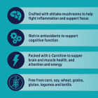 Stewart Focus 8 Oz. Freeze-Fried Salmon Dog Treat Image 4