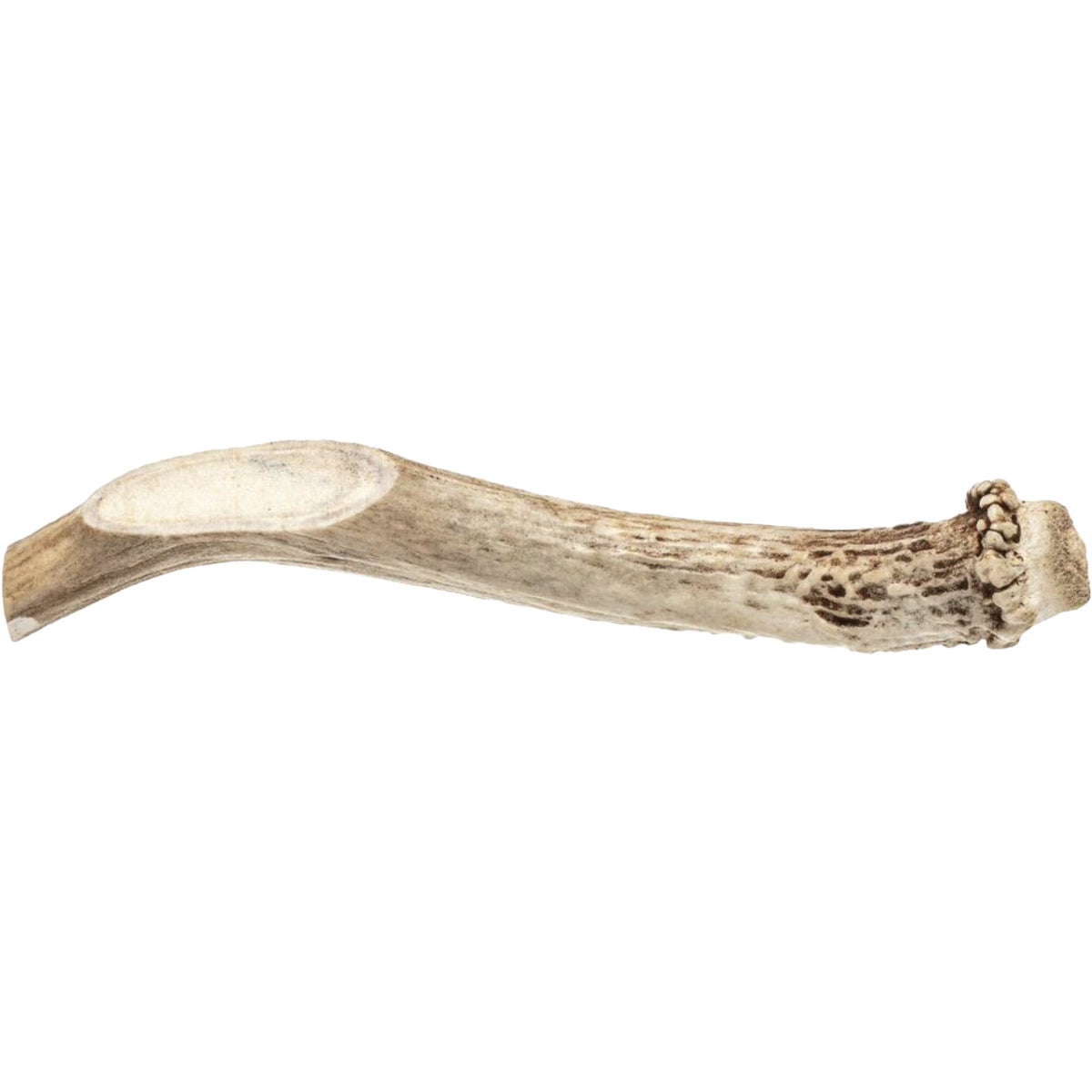 Redbarn Small/Medium Half Deer Antler Dog Chew