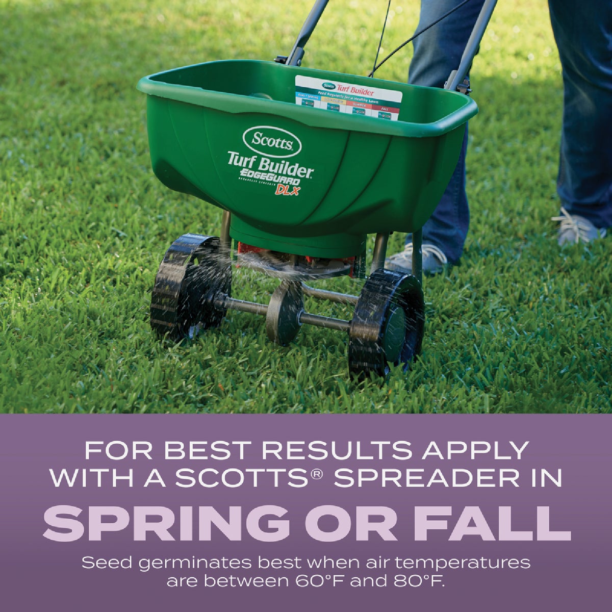 Scotts Turf Builder 5.6 Lb. 700 Sq. Ft. Perennial Ryegrass Mix Grass Seed, Fertilizer, and Soil Improver Combination Image 5