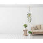 National Hardware 6 In. Brass Ceiling Hook Image 2