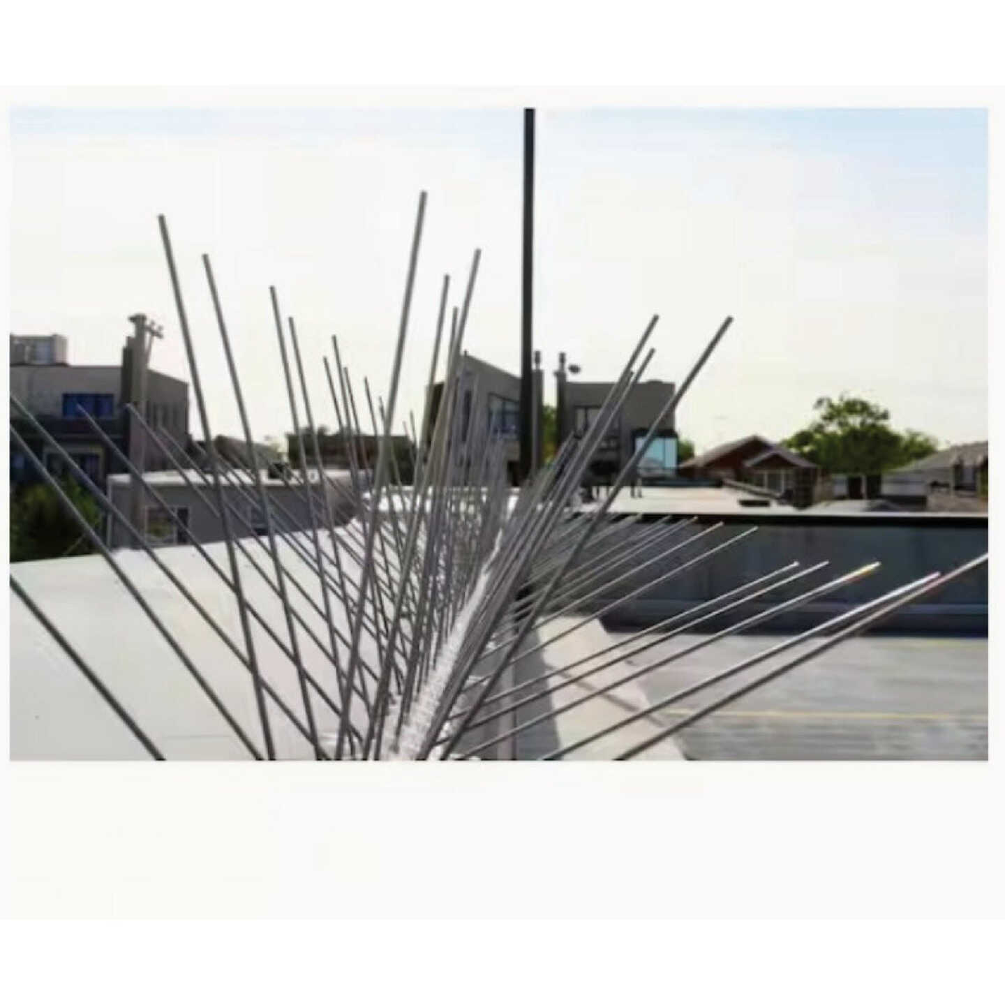 Bird-B-Gone 5 In. x 50 Ft. Stainless Steel Bird Repelling Spikes Image 3