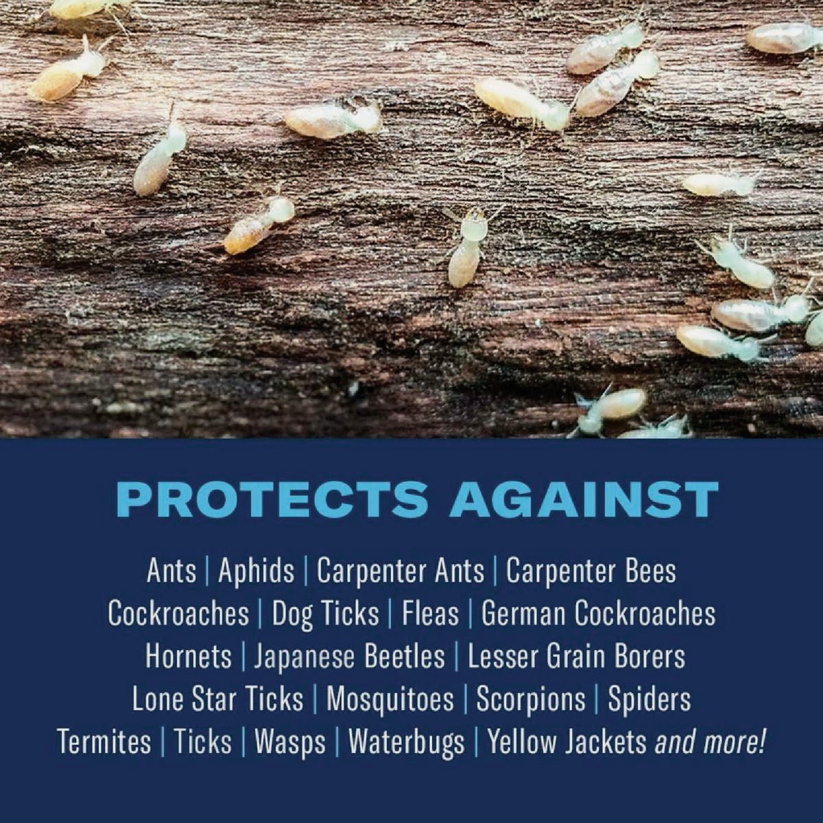 BioAdvanced Carpenter Ant & Termite Killer Plus 1 Gal. Ready To Use Ant & Termite Killer Image 2