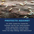 BioAdvanced Carpenter Ant & Termite Killer Plus 1 Gal. Ready To Use Ant & Termite Killer Image 2