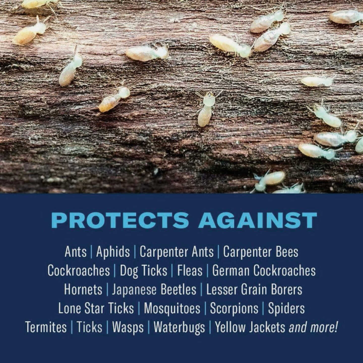 BioAdvanced Carpenter Ant & Termite Killer Plus 1 Gal. Ready To Use Ant & Termite Killer Image 2