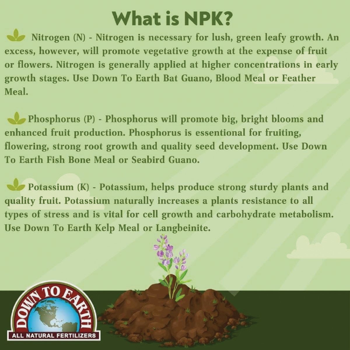 Down To Earth 0.5 Lb. 2-0-1 Alfalfa Meal Image 3