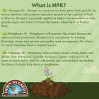 Down To Earth 0.5 Lb. 2-0-1 Alfalfa Meal Image 3