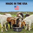 Rubbermaid Commercial Brute 6 Gal. Multi-Purpose Feed Container Image 3