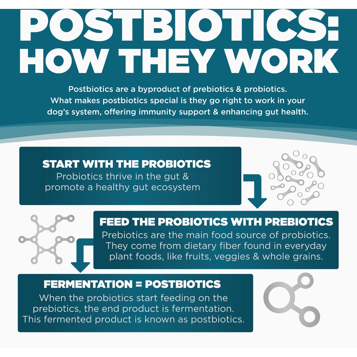 NutriSource Come-Pooch-a 12 Oz. Chicken Bone Broth Recipe Image 5