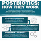 NutriSource Come-Pooch-a 12 Oz. Chicken Bone Broth Recipe Image 5