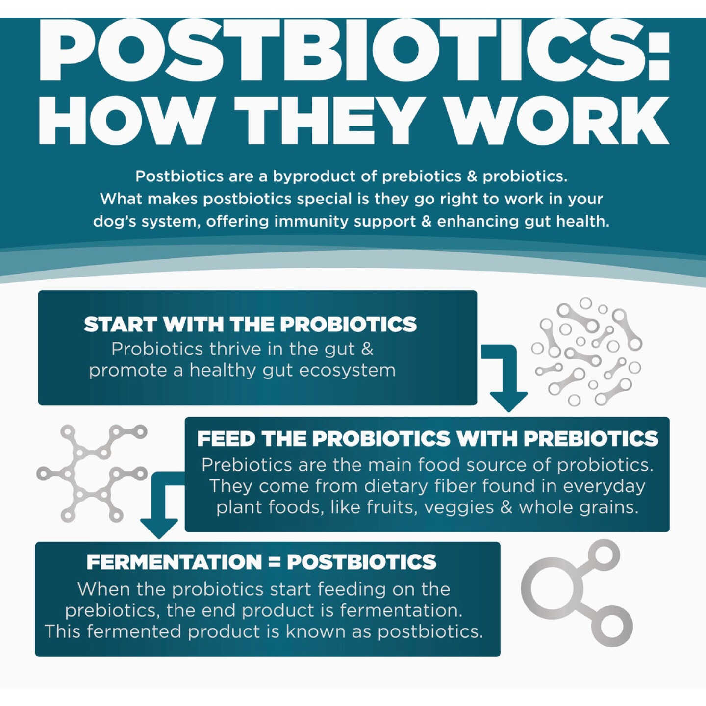 NutriSource Come-Pooch-a 12 Oz. Chicken Bone Broth Recipe Image 5