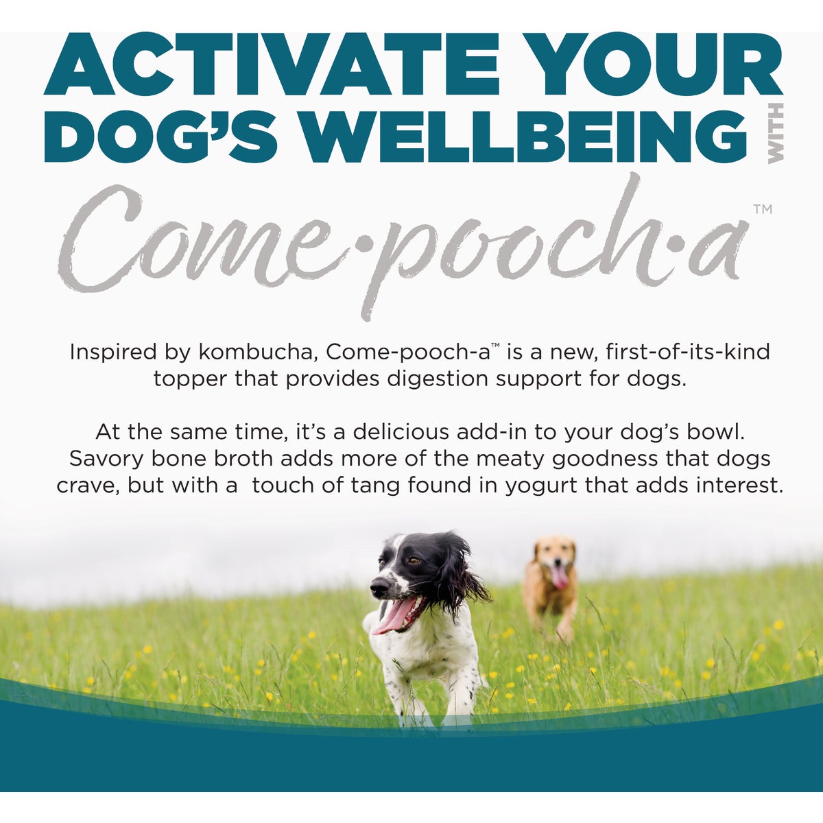 NutriSource Come-Pooch-a 12 Oz. Chicken Bone Broth Recipe Image 3