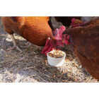 Wonder Garden Grub 6 Lb. Feed Supplement Image 3